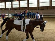 voltitag 2009 _CD1 068